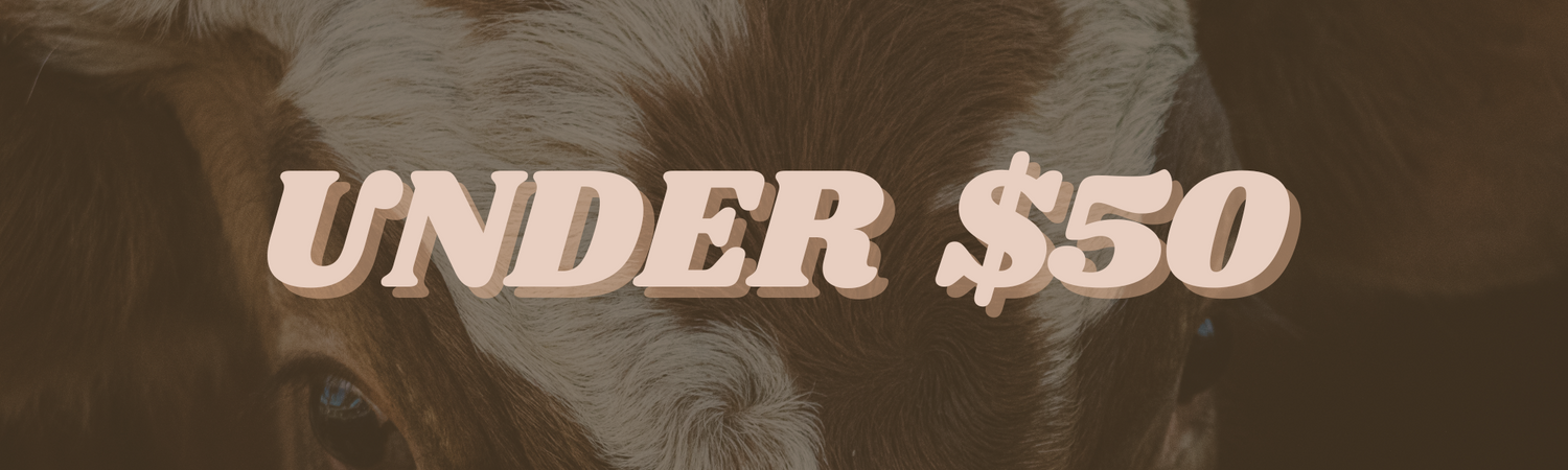 western fashion, accessories, turquoise jewelry and more all under $50. Wild rags, western business casual outfits, and more. Boutique located in Katy, Texas that Affordable Western Jewelry, Outfits, and Accessories Under $50